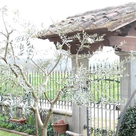 Il Falco *