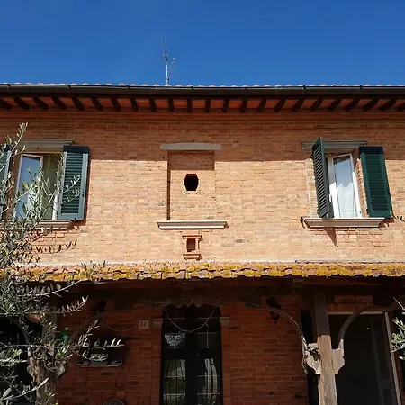 Il Falco