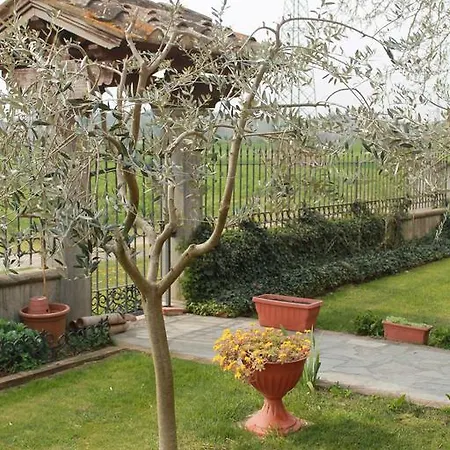 Il Falco *